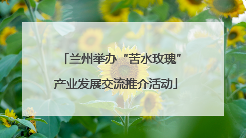 兰州举办“苦水玫瑰”产业发展交流推介活动