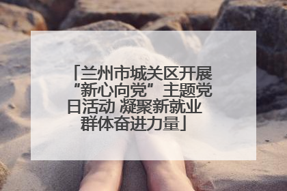 兰州市城关区开展“新心向党”主题党日活动 凝聚新就业群体奋进力量