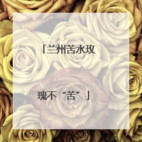 兰州苦水玫瑰不“苦”