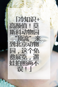 冷知识+高颜值！莫斯科动物园“顶流”来到北京动物园，这个免费展览，遛娃拍照两不误！