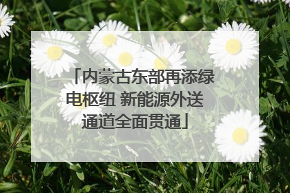 内蒙古东部再添绿电枢纽 新能源外送通道全面贯通