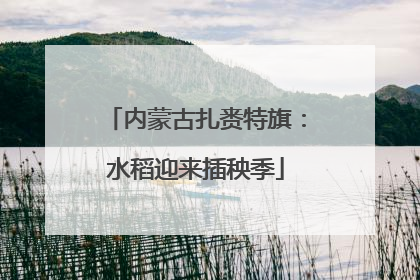内蒙古扎赉特旗：水稻迎来插秧季