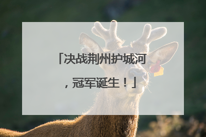 决战荆州护城河，冠军诞生！