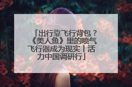 出行靠飞行背包？《美人鱼》里的喷气飞行器成为现实丨活力中国调研行