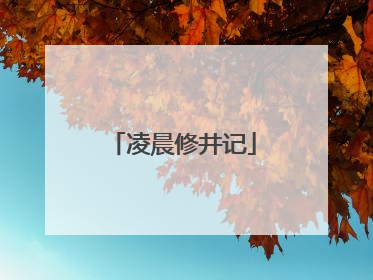 凌晨修井记