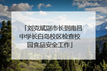 刘克斌副市长到南昌中学长白岛校区检查校园食品安全工作
