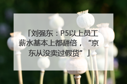 刘强东：P5以上员工薪水基本上都翻倍，“京东从没卖过假货”