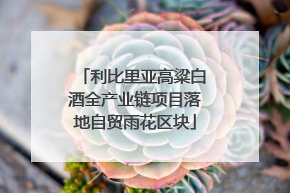 利比里亚高粱白酒全产业链项目落地自贸雨花区块