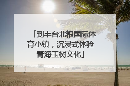 到丰台北粮国际体育小镇，沉浸式体验青海玉树文化