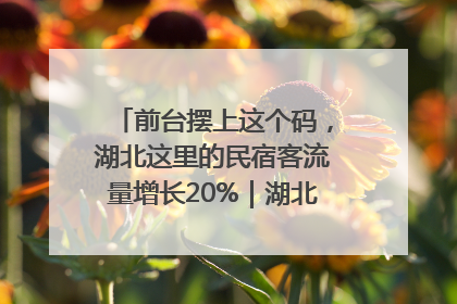 前台摆上这个码，湖北这里的民宿客流量增长20%｜湖北市场监管所的故事