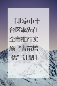 北京市丰台区率先在全市推行实施“青苗培优”计划