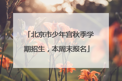 北京市少年宫秋季学期招生，本周末报名
