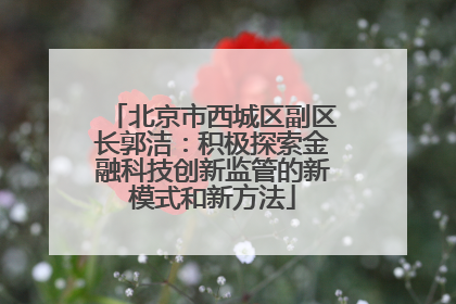 北京市西城区副区长郭洁：积极探索金融科技创新监管的新模式和新方法