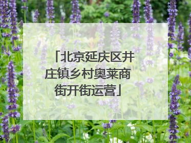 北京延庆区井庄镇乡村奥莱商街开街运营