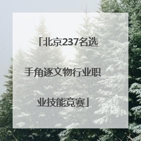 北京237名选手角逐文物行业职业技能竞赛