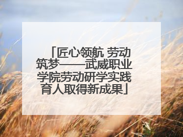 匠心领航 劳动筑梦——武威职业学院劳动研学实践育人取得新成果