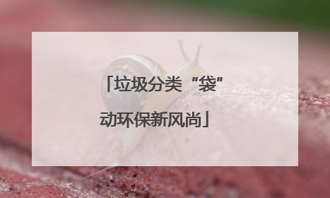 垃圾分类“袋”动环保新风尚