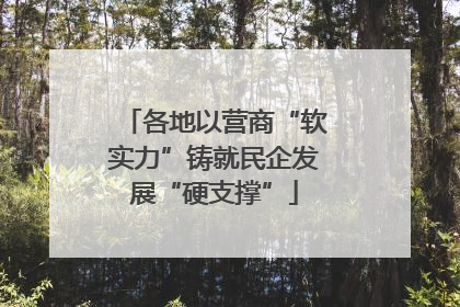 各地以营商“软实力”铸就民企发展“硬支撑”