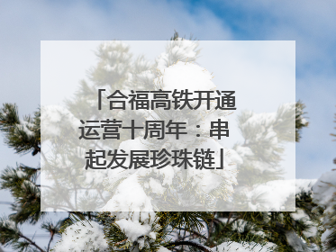 合福高铁开通运营十周年：串起发展珍珠链
