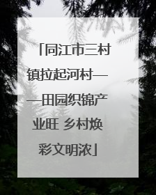 同江市三村镇拉起河村——田园织锦产业旺 乡村焕彩文明浓