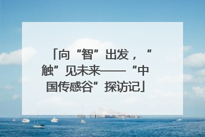 向“智”出发，“触”见未来——“中国传感谷”探访记