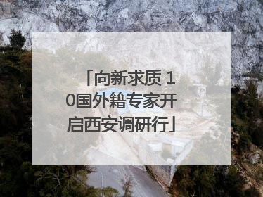 向新求质 10国外籍专家开启西安调研行