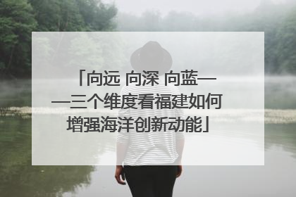 向远 向深 向蓝——三个维度看福建如何增强海洋创新动能