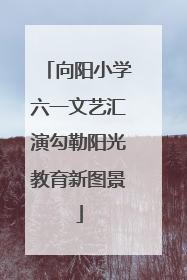 向阳小学六一文艺汇演勾勒阳光教育新图景