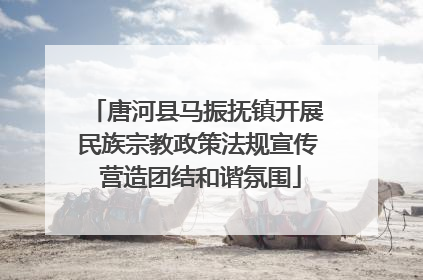 唐河县马振抚镇开展民族宗教政策法规宣传 营造团结和谐氛围
