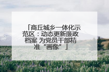 商丘城乡一体化示范区：动态更新廉政档案 为党员干部精准“画像”