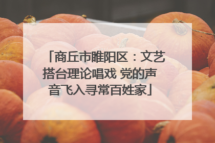 商丘市睢阳区：文艺搭台理论唱戏 党的声音飞入寻常百姓家