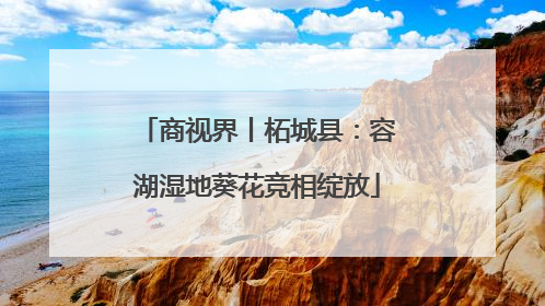 商视界丨柘城县：容湖湿地葵花竞相绽放