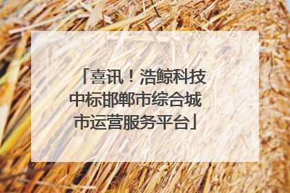 喜讯！浩鲸科技中标邯郸市综合城市运营服务平台