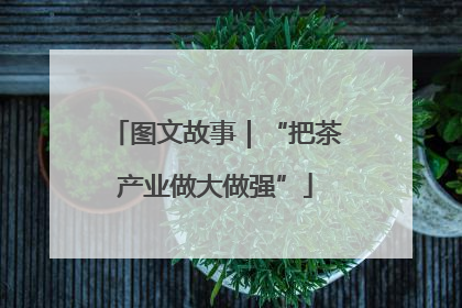 图文故事｜“把茶产业做大做强”