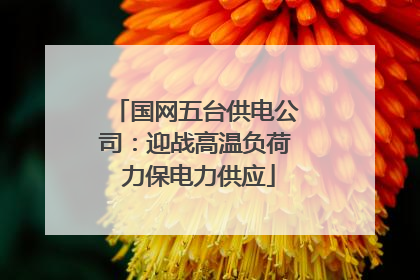 国网五台供电公司：迎战高温负荷 力保电力供应