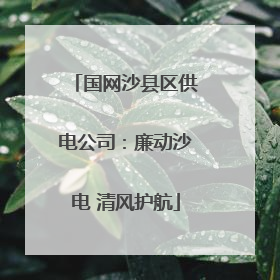 国网沙县区供电公司：廉动沙电 清风护航