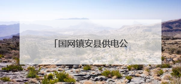 国网镇安县供电公司：绿色报装速度快 抗旱保电解民忧