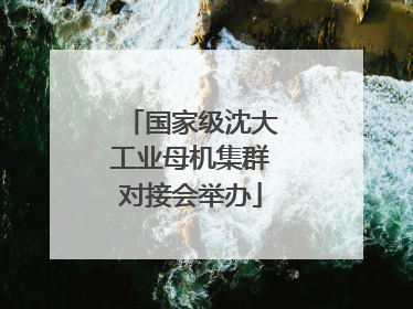 国家级沈大工业母机集群对接会举办