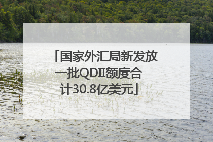 国家外汇局新发放一批QDII额度合计30.8亿美元