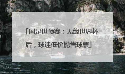 国足世预赛：无缘世界杯后，球迷低价抛售球票