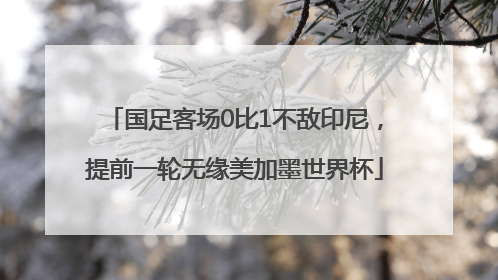 国足客场0比1不敌印尼，提前一轮无缘美加墨世界杯