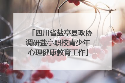 四川省盐亭县政协调研盐亭职校青少年心理健康教育工作