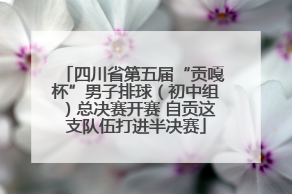 四川省第五届“贡嘎杯”男子排球（初中组）总决赛开赛 自贡这支队伍打进半决赛