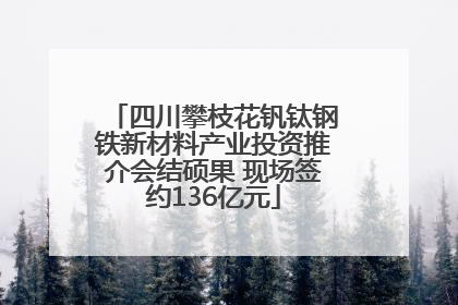 四川攀枝花钒钛钢铁新材料产业投资推介会结硕果 现场签约136亿元
