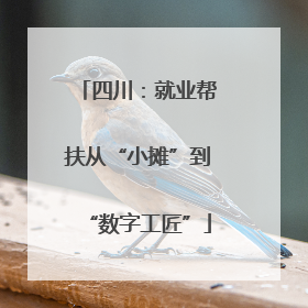四川：就业帮扶从“小摊”到“数字工匠”