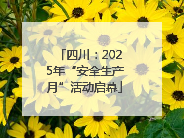 四川：2025年“安全生产月”活动启幕