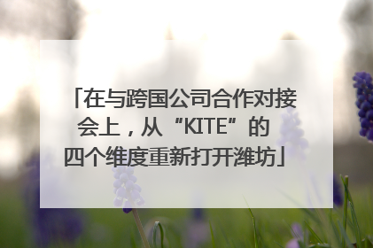 在与跨国公司合作对接会上，从“KITE”的四个维度重新打开潍坊