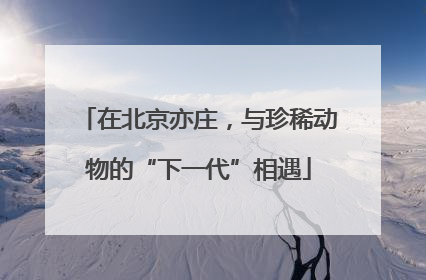 在北京亦庄，与珍稀动物的“下一代”相遇