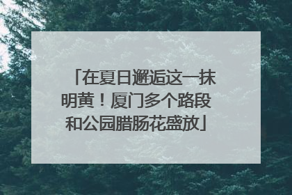 在夏日邂逅这一抹明黄！厦门多个路段和公园腊肠花盛放