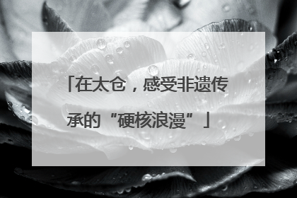 在太仓，感受非遗传承的“硬核浪漫”